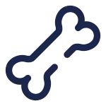 Bone SVG Icon